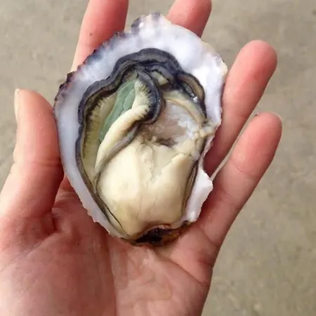 L'ecurie & Le Chai - De Charme Entre Et Coeur De Village 펜션